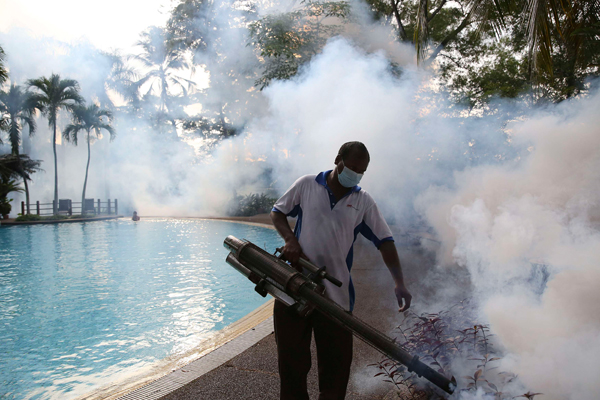 В Японии увеличилось количество заразившихся лихорадкой денге 