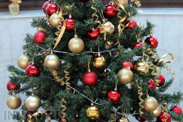 «Умную» новогоднюю ель установили в Минске