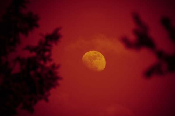 В Сибири и на Дальнем Востоке появилась красная Луна