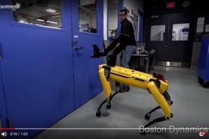 В Сети на видео робота-собаку учат сопротивляться человеку
