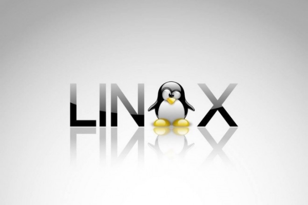 Чиновникам предложат пользоваться операционной системой Linux