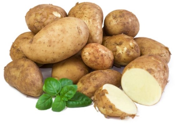 В Белоруссии будут выращивать генномодифицированыый картофель